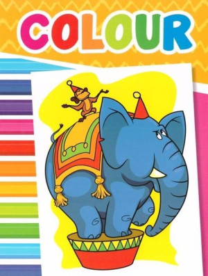 Colour Obrazki zoo praca zbiorowa