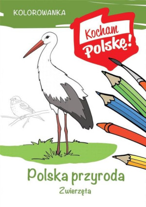 Kolorowanka. Polska przyroda- zwierzęta Krzysztof Kiełbasiński