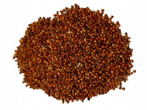 Sorgo czerwone na poplon 10kg