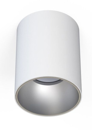 Lampa sufitowa, spot EYE TONE biały, srebrny