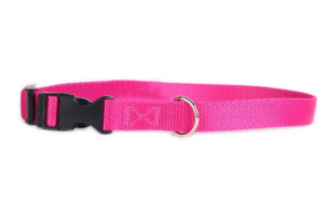 DogStuffs Obroża z plastikową klamrą 20mm/30-55cm różowa