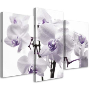 OBRAZ TRYPTYK Orchidea Kwiat 120x80