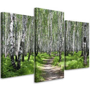 OBRAZ TRYPTYK Las Brzozowy Natura 60x40