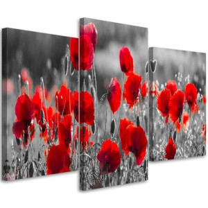 OBRAZ TRYPTYK Maki Czerwone 120x80