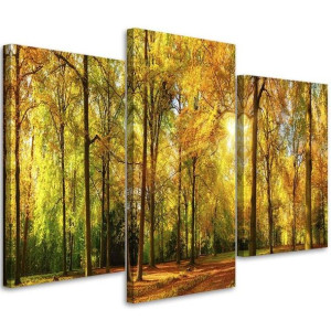 OBRAZ TRYPTYK Las Jesień Natura 120x80