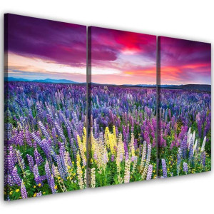 OBRAZ TRYPTYK Łąka Kwiaty Natura 120x80