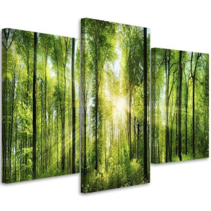 OBRAZ TRYPTYK Las Zielony 120x80