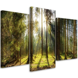 OBRAZ TRYPTYK Las Natura Blask Promieni 60x40