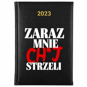 KALENDARZ Dzienny A5 2023 Śmieszne TEKSTY Wzory