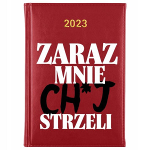 KALENDARZ Dzienny A5 2023 Śmieszne TEKSTY Wzory