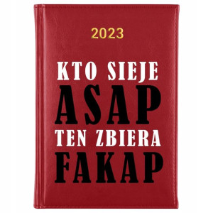 KALENDARZ Dzienny Terminarz A5 2023 Śmieszne Wzory
