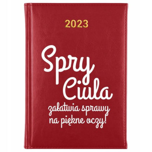 KALENDARZ Dzienny Terminarz A5 2023 Śmieszne Wzory