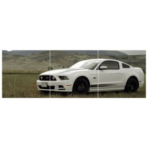Mustang GT V8 - Brett Levin   - obraz drukowany  90x30cm