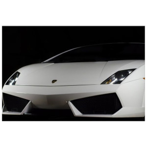 Lamborghini Gallardo - Brett Levin   - obraz drukowany  120x80cm