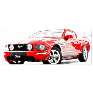 Art of Mustang   - obraz drukowany  100x40cm
