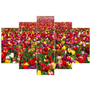 Tulipany - Ian Sane   - obraz drukowany  150x100cm