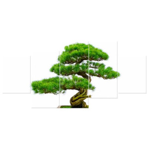 Bonsai   - obraz drukowany  150x70cm