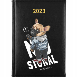 KALENDARZ Planer A5 2023 TEDDY BEAR Wiele Wzorów