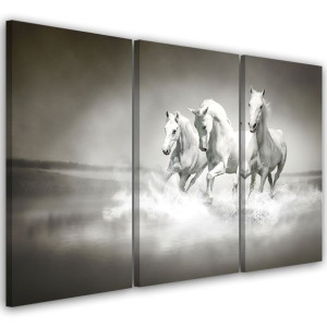 OBRAZ TRYPTYK Białe Konie Galop 120x80