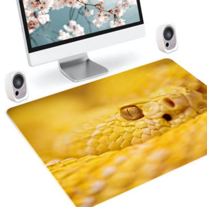 Podkładka ochrona biurka 50x35 ZWIERZĘTA TOP WZORY