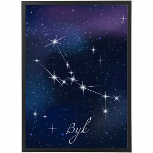 OBRAZ Ramka 50x70 Do Salonu Znaki Zodiaku WZORY