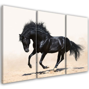 OBRAZ TRYPTYK Czarny Koń Galop 60x40