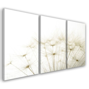 OBRAZ TRYPTYK Dmuchawiec Kwiaty Natura 120x80