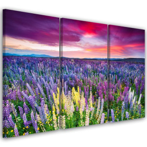 OBRAZ TRYPTYK Fioletowe Kwiaty Łąka 120x60