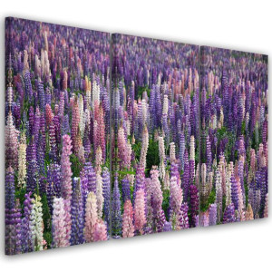 OBRAZ TRYPTYK Fioletowe Kwiaty Łąka 120x60