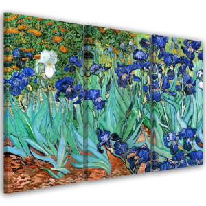 OBRAZ TRYPTYK Irysy Van Gogh 120x60
