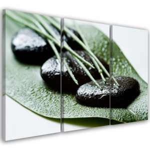 OBRAZ TRYPTYK Kamienie Liście Natura Zen 60x40