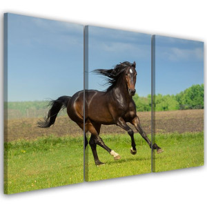 OBRAZ TRYPTYK Koń Galop Łąka 60x40