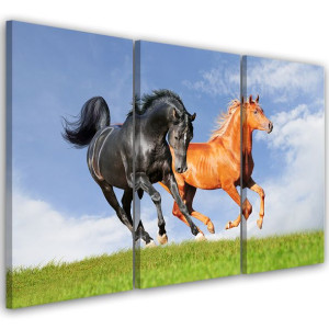 OBRAZ TRYPTYK Konie w Galopie 60x40