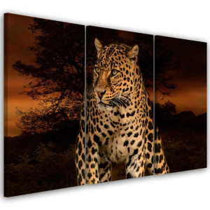OBRAZ TRYPTYK Lampart Pantera Kot Safari 120x80