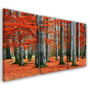 OBRAZ TRYPTYK Las Czerwony Jesień Natura 120x80