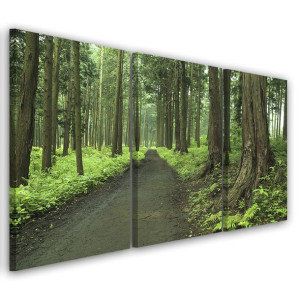 OBRAZ TRYPTYK Las Droga Drzewa Natura 120x80