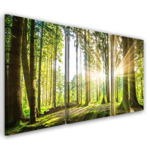 OBRAZ TRYPTYK Las Drzewa Natura 120x60