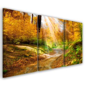 OBRAZ TRYPTYK Las Jesień Natura 90x60