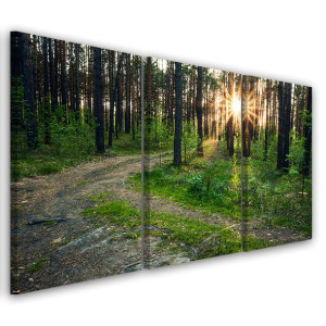 OBRAZ TRYPTYK Las Natura Droga Pejzaż 120x60