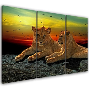 OBRAZ TRYPTYK Lwy Sawanna Afryka Natura 120x60