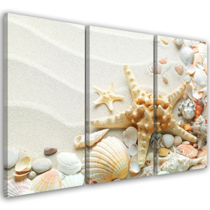 OBRAZ TRYPTYK Muszle Plaża 120x60