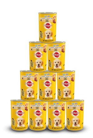 PEDIGREE Junior mokra, pełnoporcjowa karma dla szczeniąt, z kurczakiem w ga