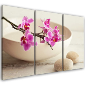 OBRAZ TRYPTYK Orchidea Miska Kwiaty Beżowy 90x60