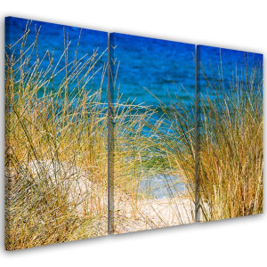 OBRAZ TRYPTYK Plaża MorzeTrawy 120x60