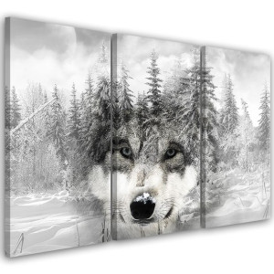 OBRAZ TRYPTYK Wilk na tle Lasu Natura 90x60