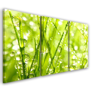 OBRAZ TRYPTYK Zielone Liście Krople Rosy 90x60