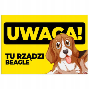 Tabliczka 22x15cm UWAGA BEAGLE Wzory Uwaga PIES