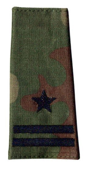 Pagon Pochewka WP wz2010 US-22 Major 1474