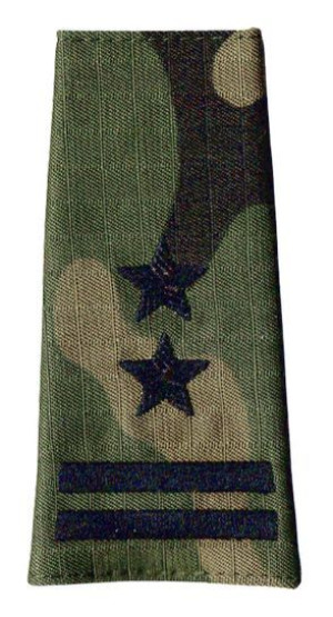 Pagon Pochewka WP wz2010 US-22 Podpułkownik 1476