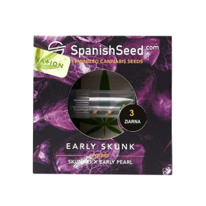 Nasiona Konopi Indyjskiej Early Skunk Skunk#1 X Early Pearl